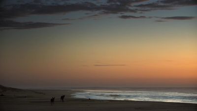 In the first glow of dawn... - Earth at Night in Color