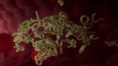 - In the future,
we could see a virus - Human: The World Within