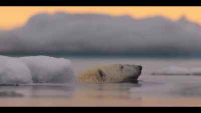 In the global climate crisis, - Our Oceans