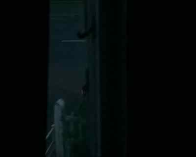 ... in the grounds near the house. - Wire in the Blood