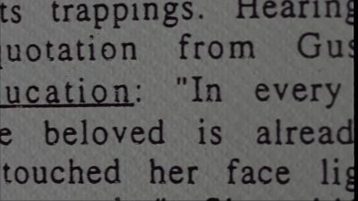 In the last paragraph Dashiell quoted - Mr  Jealousy