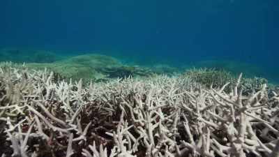 In the last three years, - Blue Planet II