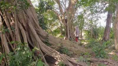 IN THE LLANOS DE MOJOS, - Lost Cities of the Amazon