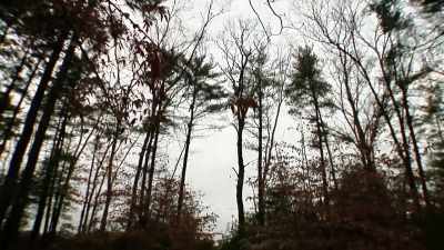 IN THE MEANTIME, THE WINTER SUN - Bloodlands