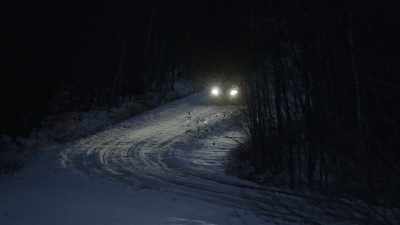In the meantime, there was
someone else there that evening. - The Disappearance of Maura Murray