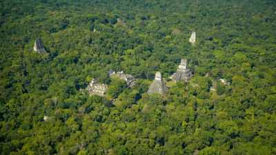 In the next few years,
archaeologists will begin - Lost Treasures of the Maya