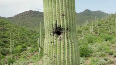 In the next six months, - The Green Planet