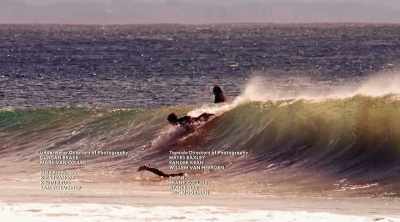 In the ocean, land
creatures like us, - Shark Attack Files