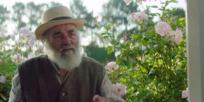 In the old days, - Picnic at Hanging Rock