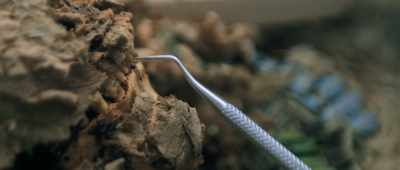 In the Old Kingdom,
mummification was extremely rare. - Unknown: The Lost Pyramid