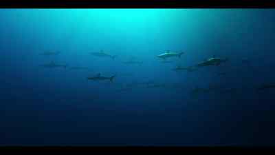 In the past 50 years, - Our Oceans