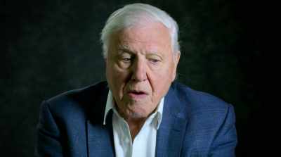 In the past, - David Attenborough: A Life on Our Planet