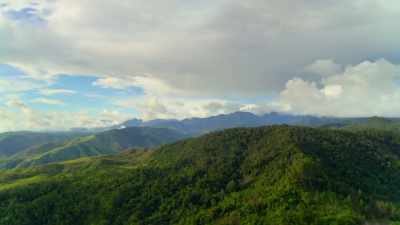 In the Philippines' fragmented forest, - Our Planet