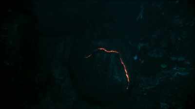 In the South Pacific, - Blue Planet II