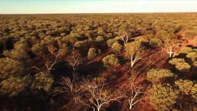 In the summer, temperatures here
can hit the high 40s. - Outback Opal Hunters