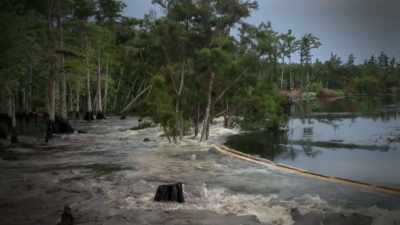 in-the-swamp-before-the-terrifying-event - Strange Evidence