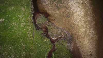 In the vast British Columbian wilderness, - Super/Natural