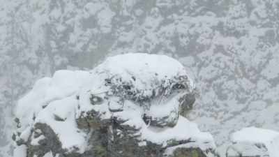 In these conditions, - Epic Yellowstone