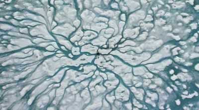In my time, I've experienced
the warming of Arctic summers. - David Attenborough: A Life on Our Planet