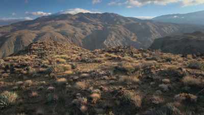 In this vastness,
it's hard to get noticed. - Attenborough's Life in Colour