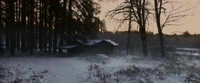 In what appears to be
a murder suicide, - Bad Samaritan
