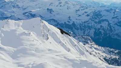 In winter, there is just enough
prey up here, dead or alive, - Frozen Planet II