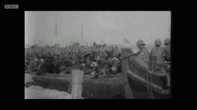 In World War I at Gallipoli, - The Rise of the Murdoch Dynasty