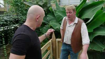In would be the best way forward. - Britain's Tiger Kings - On the Trail with Ross Kemp