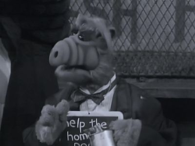       [inaudible dialogue] - ALF
