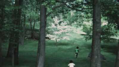 (inaudible) - Trees and Other Entanglements