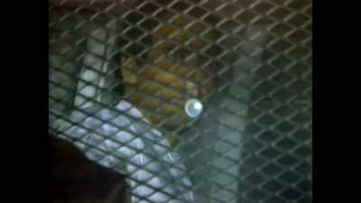 [inaudible voices] - Ted Bundy: Falling for a Killer