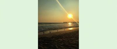 Incessant clapping Taylor Live in the sunshine - Ingrid Goes West