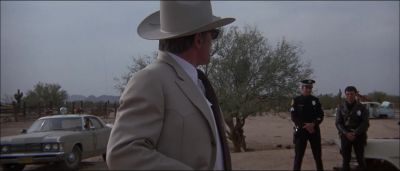 Incompetence is the worst form of corruption - Electra Glide in Blue