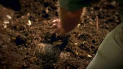 Incredibly, it has not two
but four tusk holes. - Tales From The Explorers Club