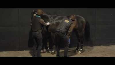 Incredibly professional,
they do a great job here. - Horsepower
