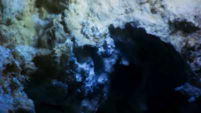 Indeed, many scientists now believe - Blue Planet II