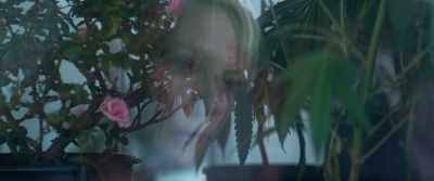 [indie rock music playing] - Woodshock