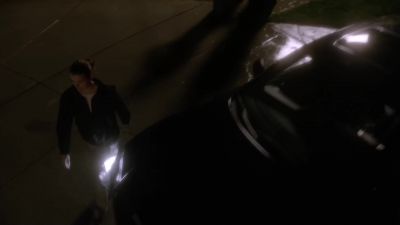 (indistinct chatter,
dogs barking) - NCIS