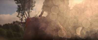 [indistinct chatter and laughter] - The Lost Flowers of Alice Hart