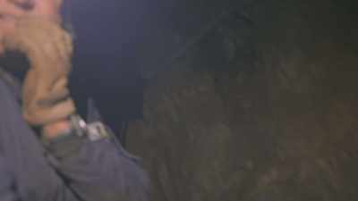 [INDISTINCT CHATTER] - Unknown: Cave of Bones
