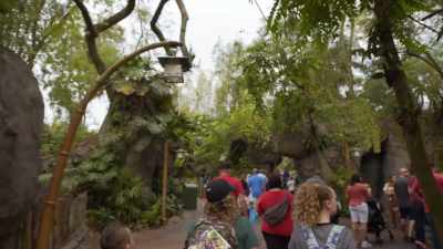 (INDISTINCT CHATTER) - Magic of Disney's Animal Kingdom