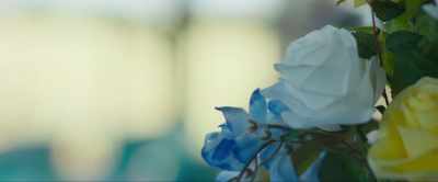 -[♪♪♪]
-[indistinct chatter] - Stars Fell Again
