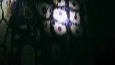 (indistinct chatter) - Devon