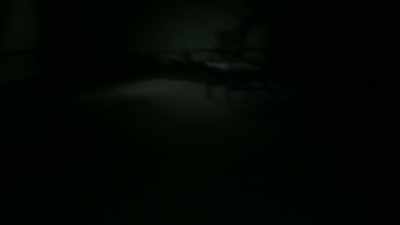 (indistinct chatter) - Devon