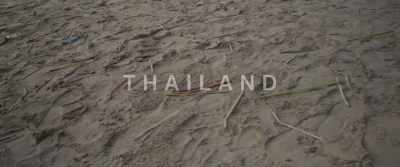 (indistinct chattering) - The Last Tourist