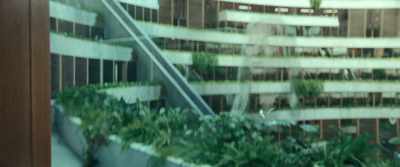 [indistinct chattering] - Paradise