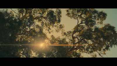 [indistinct conversations
in distance] - Scrublands