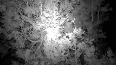 (indistinct music playing) - Horror in the High Desert