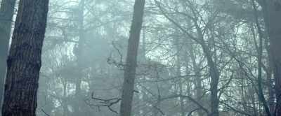 [Indistinct radio chatter] - Daddy's Head