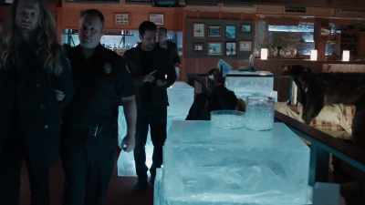 [indistinct radio chatter] - Psych 2: Lassie Come Home